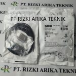 Sick GSE6 N1112